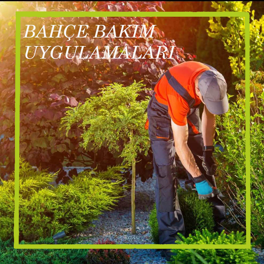 Peryodik Bakım Uygulamaları
