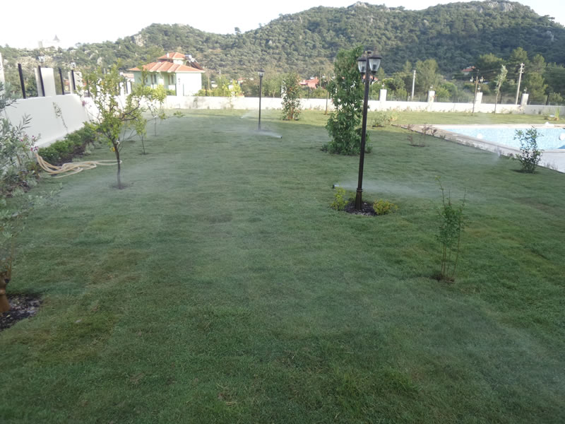 Yavuz Selim Şen-Sarıgerme