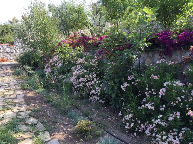 Peter Dresenk-Faralya