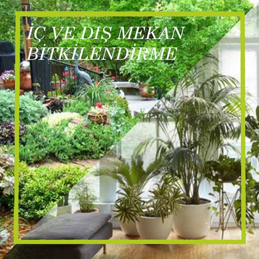 İç ve Dış Mekan Bitkilendirme