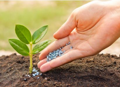 Kimyasal Gübre ve İlaç Çeşitleri