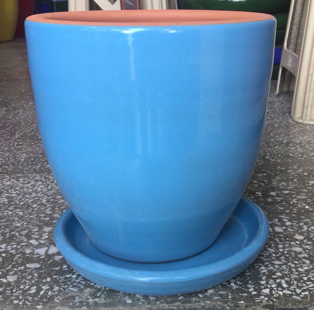 Toprak ve Plastik Saksı Grupları