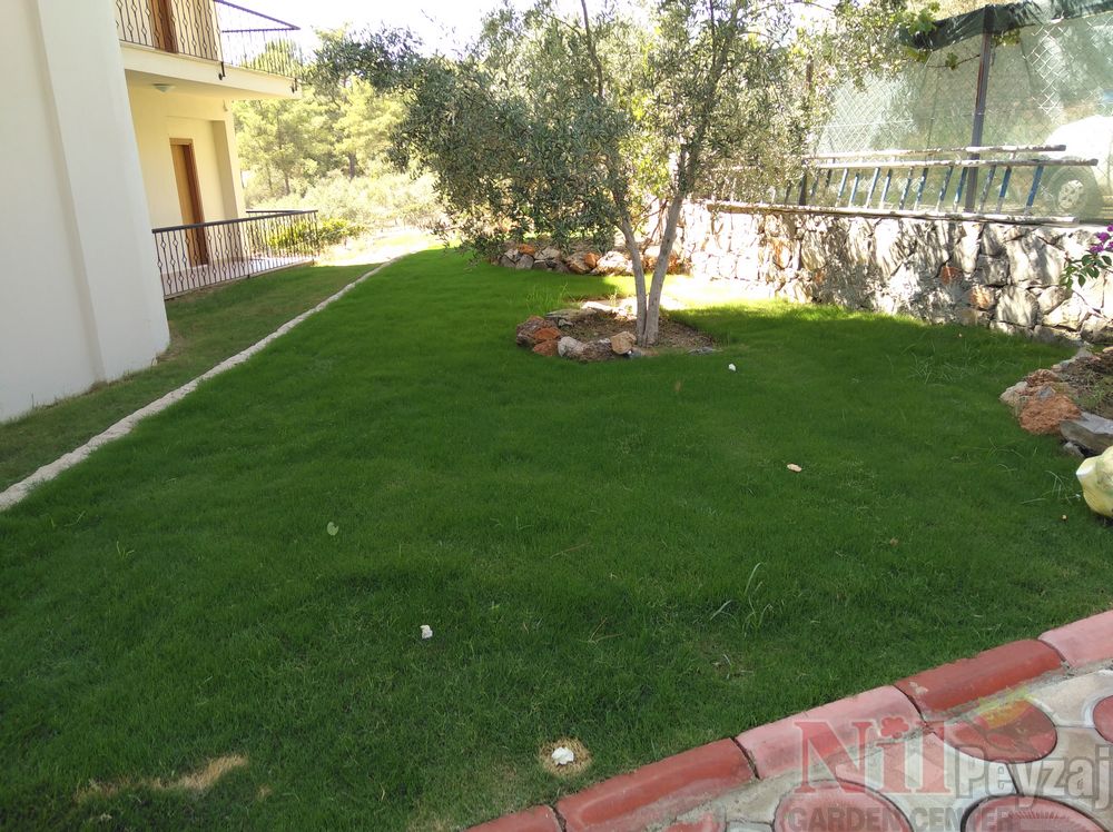 In-forest Göcek- Uğur Atıcı