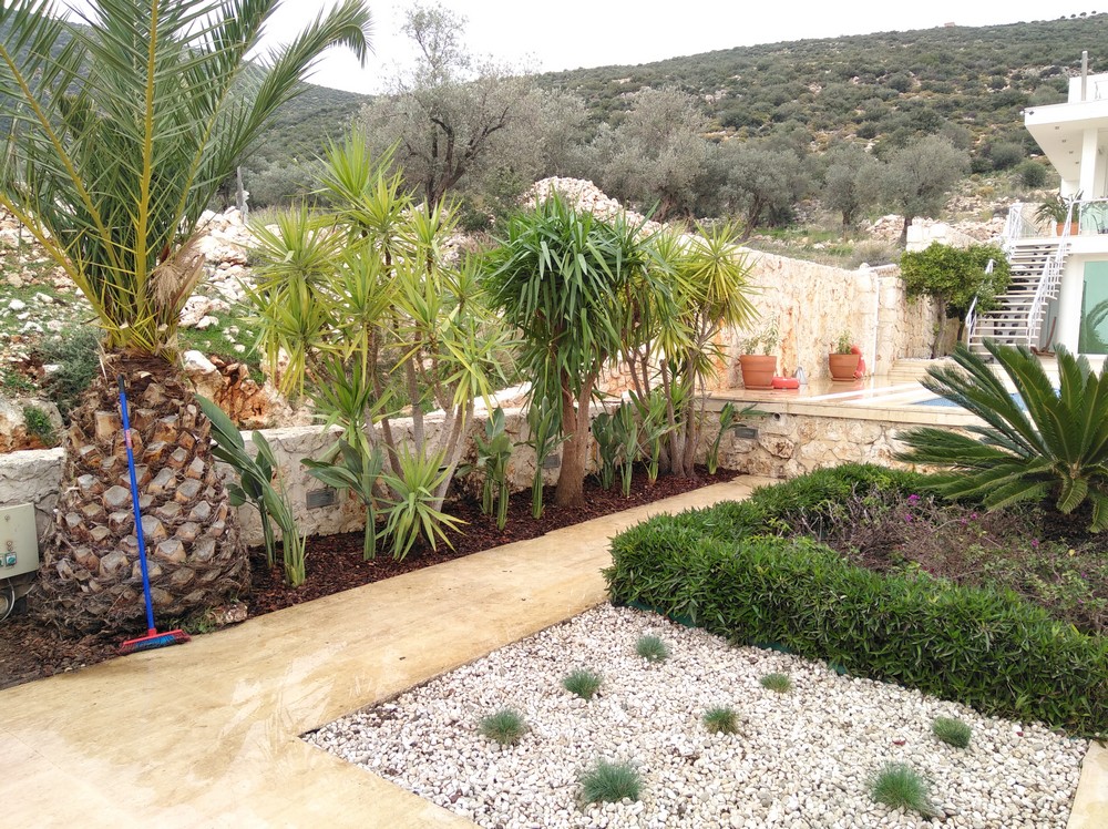 Lesley Irvina-Kalkan