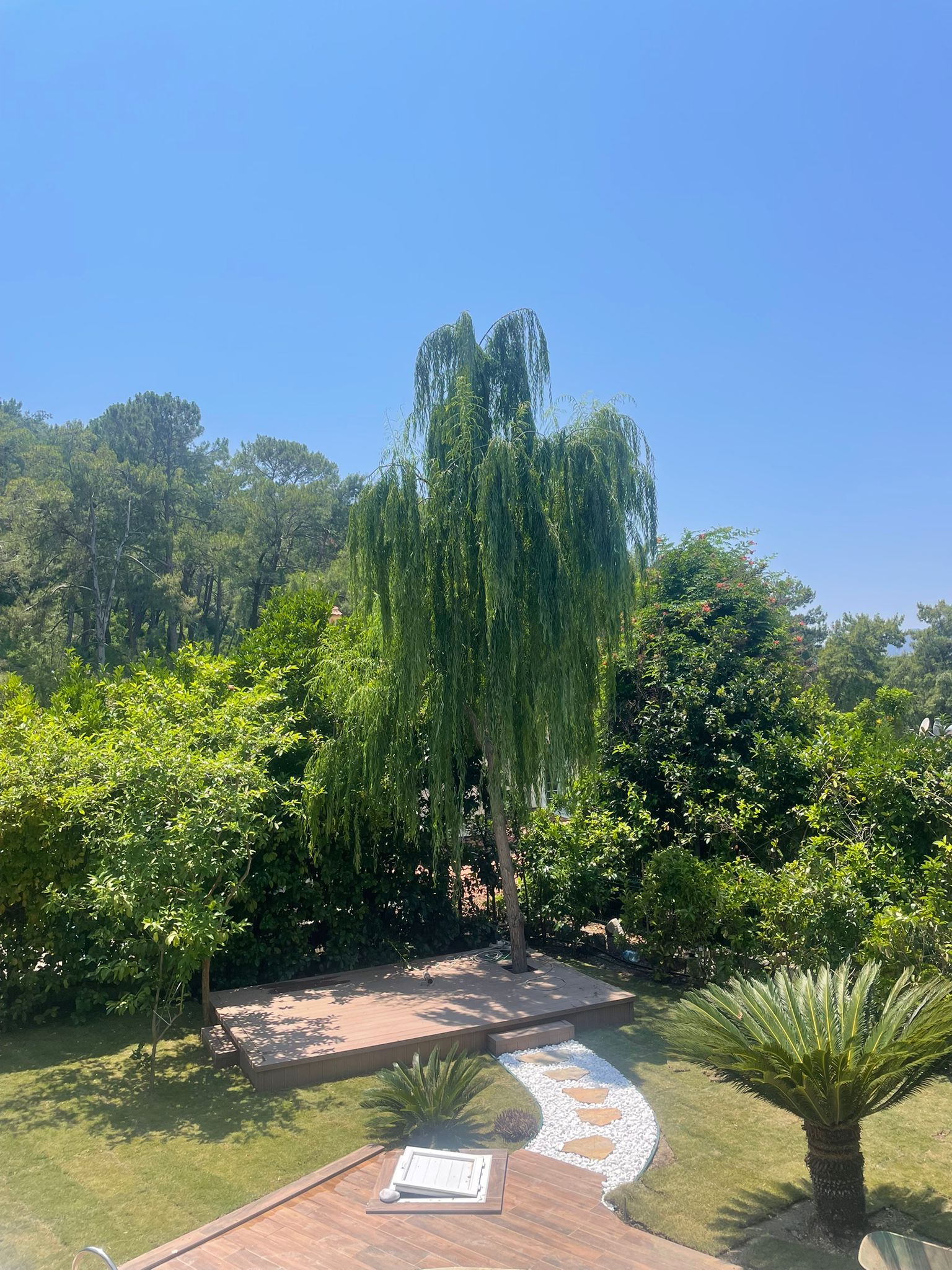 GÖCEK VİNEYARD SİTESİ PEYZAJ PROJESİ